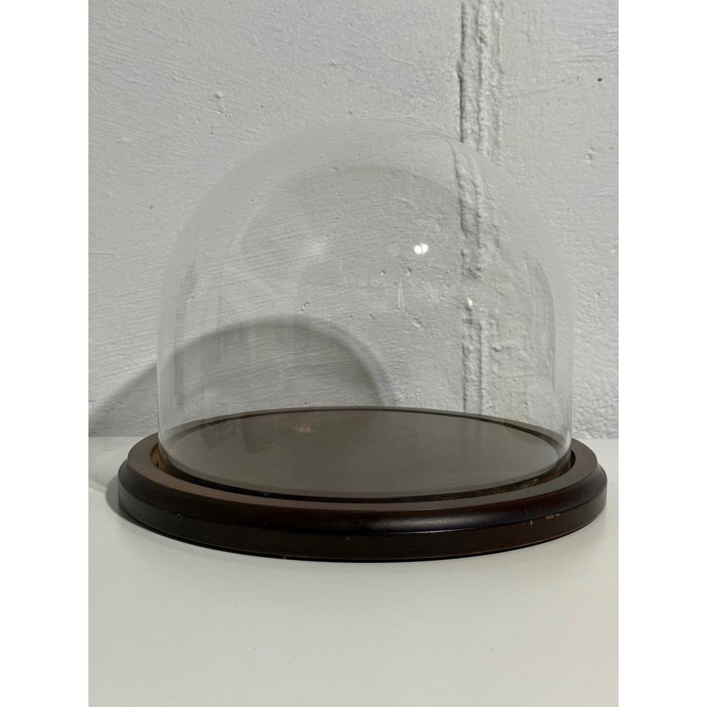 Atmospheres Glass Cloche Display Dome Dark Wood Base 8.5" Round Bell Jar Decor